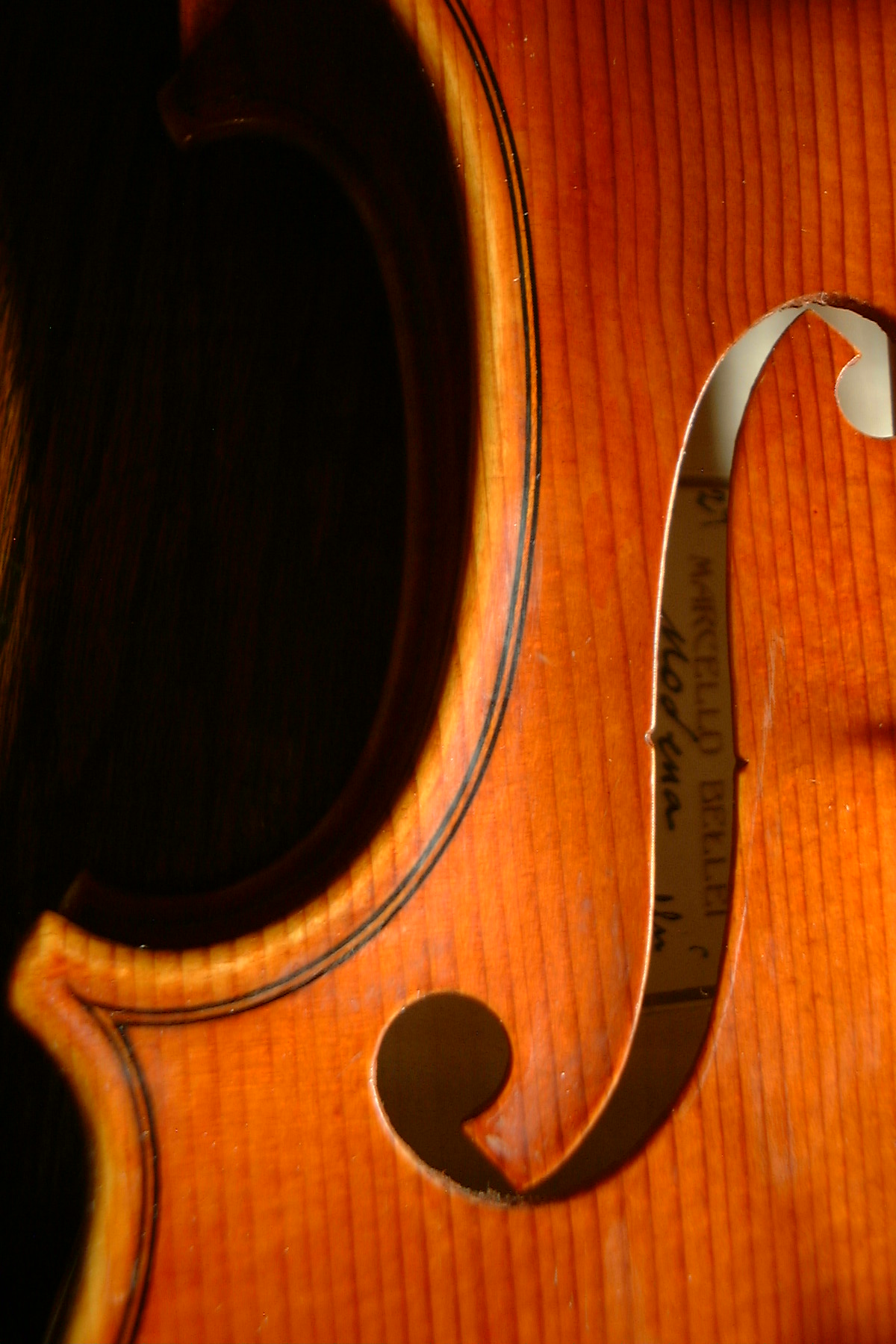 Marcello Bellei – 古賀弦楽器